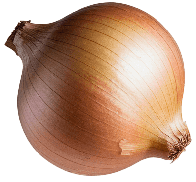 agrilop cebolla 01
