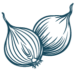 cebolla 01