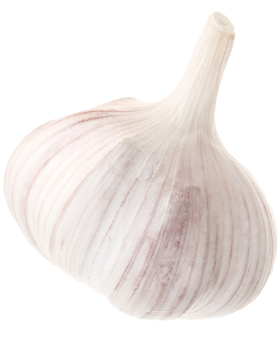 ajo blanco 01